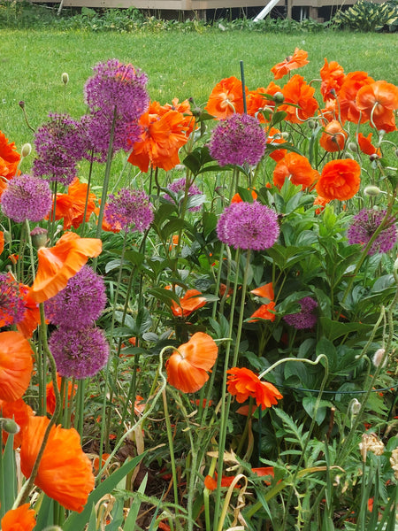 On call/monthly Gardening service