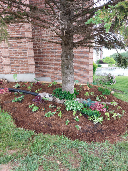 On call/monthly Gardening service