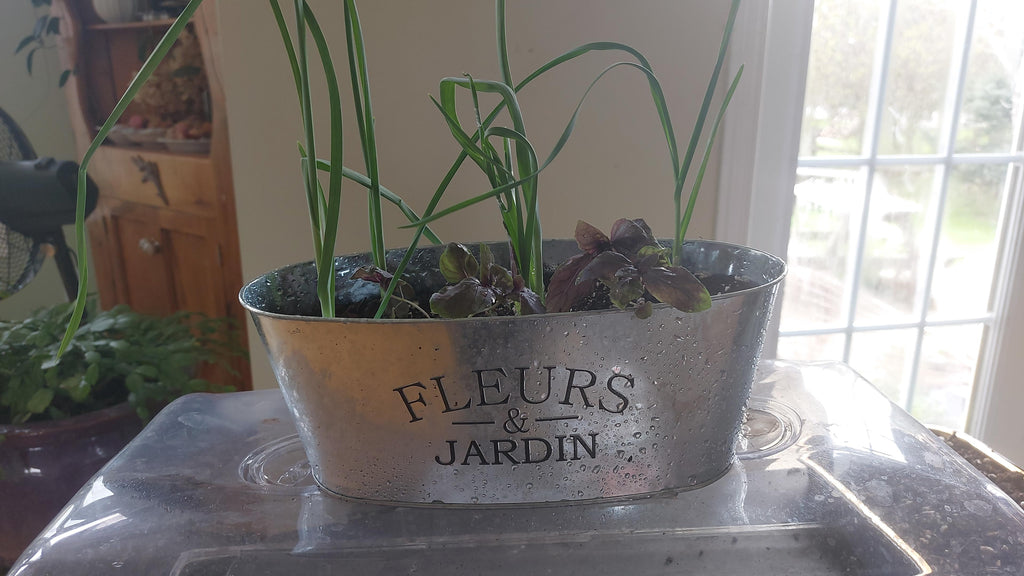 Custom Plant and Herb Planter