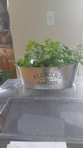 Custom Plant and Herb Planter