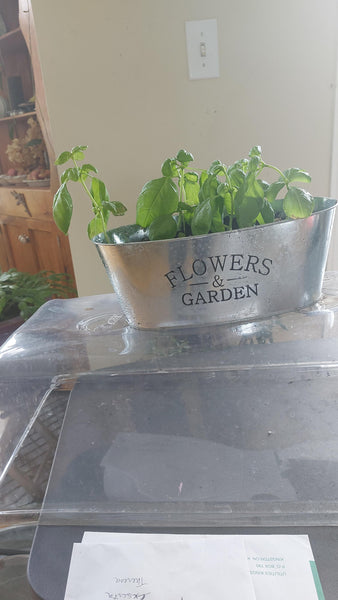 Custom Plant and Herb Planter