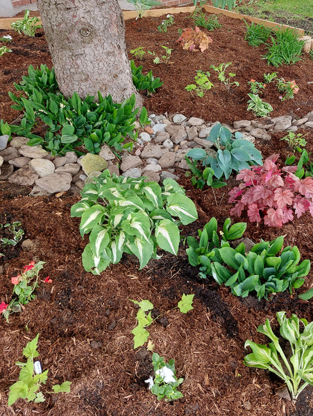 GARDEN/Property/Design consultaion